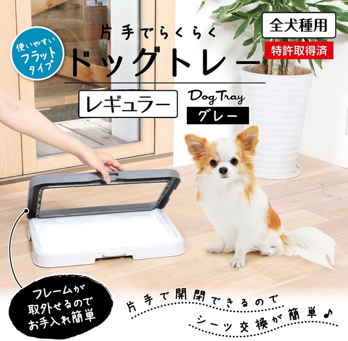 ถาดใส่สุนัขเหมาะสำหรับวางระเบียบในห้องน้ำสุนัขของคุณ