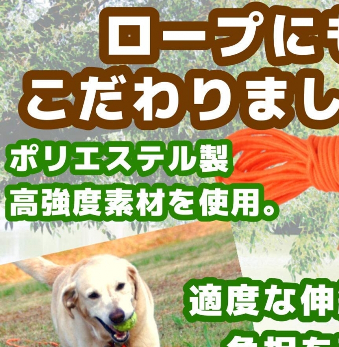 3 สี (เหลืองยาว 10 เมตร) เชือกรอบน้ำหนักเบานำสุนัขขนาดกลางยาวสำหรับสุนัขขนาดใหญ่ความยืดหยุ่นที่ยอดเยี่ยมการฝึกอบรมที่มีความทนทานนำ SRT ที่ลอยอยู่ในน้ำที่ยากต่อการพัน